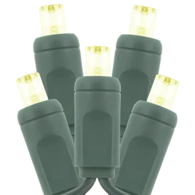 Standard Net Light 5MM Multi Color