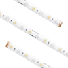 High Output RGBW Tape Light