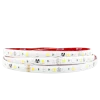High Output Tape Light IP65 RGBW 16.4Ft