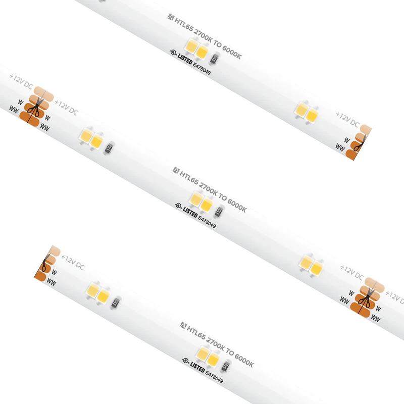 High Output Tape Light IP65 Tunable White 12V DC 16.4Ft