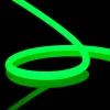 Neonflex 360  Green 16Ft