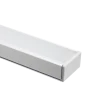 Premium Extrusion GTX Surface and Recessed Mount 2M