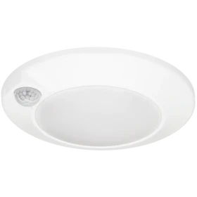 Quick Disc 4 w/Motion Sensor