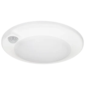 Quick Disc 6 w/Motion Sensor