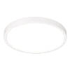 Spektrum+ RGB+TW 10in Flush Mount