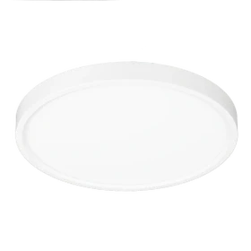 Spektrum+ RGB+TW 10in Flush Mount