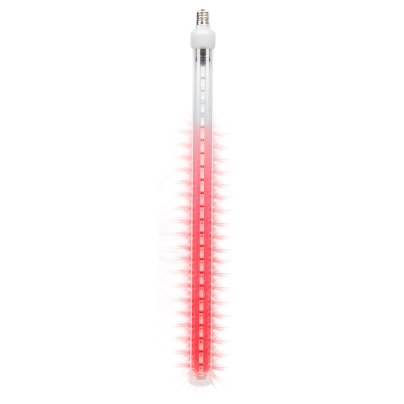 Starfall Tube Red 12in