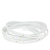 Standard Tape Light IP68 Outdoor 3000K 12V 16.4Ft