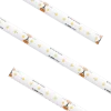 Standard High Density Tape Light IP54 5000K 100Ft