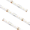 Standard High Density Tape Light IP54 3500K 100Ft