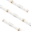 Standard High Density Tape Light IP65 3000K 16.4Ft